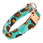 Tacskó, kék - Kutya Nyakörv - april & june