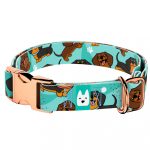 Tacskó, kék - Kutya Nyakörv - april & june