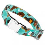 Tacskó, kék - Kutya Nyakörv - april & june