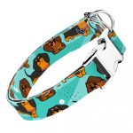 Tacskó, kék - Kutya Nyakörv - april & june