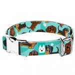 Tacskó, kék - Kutya Nyakörv - april & june