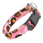 Tacskó, rózsaszín - Kutya Nyakörv - april & june