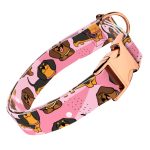 Tacskó, rózsaszín - Kutya Nyakörv - april & june