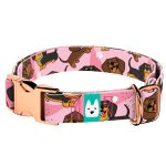 Tacskó, rózsaszín - Kutya Nyakörv - april & june