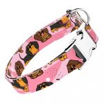 Tacskó, rózsaszín - Kutya Nyakörv - april & june