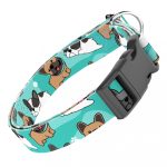 Francia Bulldog, kék - Kutya Nyakörv - april & june