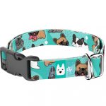 Francia Bulldog, kék - Kutya Nyakörv - april & june