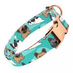 Francia Bulldog, kék - Kutya Nyakörv - april & june