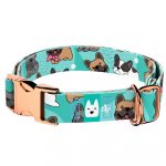 Francia Bulldog, kék - Kutya Nyakörv - april & june