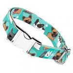 Francia Bulldog, kék - Kutya Nyakörv - april & june