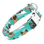 Francia Bulldog, kék - Kutya Nyakörv - april & june