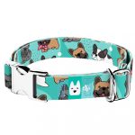 Francia Bulldog, kék - Kutya Nyakörv - april & june