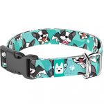 Boston Terrier, kék - Kutya Nyakörv - april & june