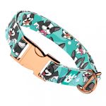 Boston Terrier, kék - Kutya Nyakörv - april & june