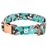 Boston Terrier, kék - Kutya Nyakörv - april & june