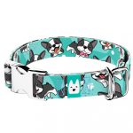 Boston Terrier, kék - Kutya Nyakörv - april & june