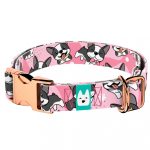 Boston Terrier, rózsaszín - Kutya Nyakörv - april & june