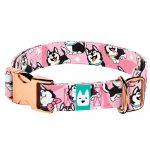 Husky, rózsaszín - Kutya Nyakörv - april & june