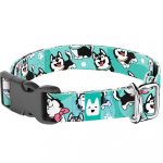 Husky, kék - Kutya Nyakörv - april & june