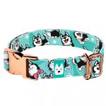 Husky, kék - Kutya Nyakörv - april & june