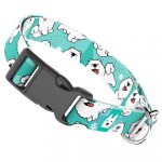 Szamojéd, kék - Kutya Nyakörv - april & june