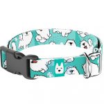 Szamojéd, kék - Kutya Nyakörv - april & june