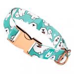 Szamojéd, kék - Kutya Nyakörv - april & june