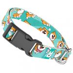 Shiba Inu, Kék - Kutya Nyakörv - april & june