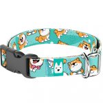 Shiba Inu, Kék - Kutya Nyakörv - april & june