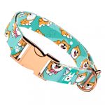 Shiba Inu, Kék - Kutya Nyakörv - april & june