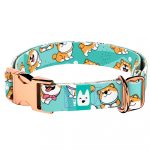 Shiba Inu, Kék - Kutya Nyakörv - april & june