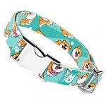 Shiba Inu, Kék - Kutya Nyakörv - april & june