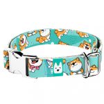 Shiba Inu, Kék - Kutya Nyakörv - april & june