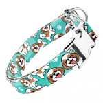 Si-cu, kék - Kutya Nyakörv - april & june