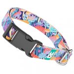 Vicces Gombás - Kutya Nyakörv - april & june