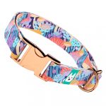 Vicces Gombás - Kutya Nyakörv - april & june