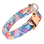 Vicces Gombás - Kutya Nyakörv - april & june