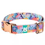 Vicces Gombás - Kutya Nyakörv - april & june