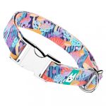 Vicces Gombás - Kutya Nyakörv - april & june