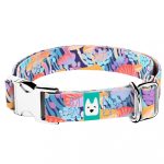 Vicces Gombás - Kutya Nyakörv - april & june