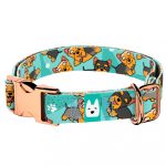 Yorkie, kék - Kutya Nyakörv - april & june