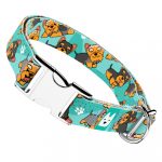 Yorkie, kék - Kutya Nyakörv - april & june