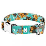 Yorkie, kék - Kutya Nyakörv - april & june