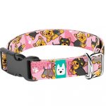 Yorkie, rózsaszín - Kutya Nyakörv - april & june