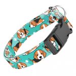 Beagle, kék - Kutya Nyakörv - april & june