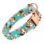 Beagle, kék - Kutya Nyakörv - april & june