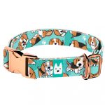 Beagle, kék - Kutya Nyakörv - april & june