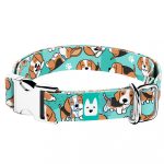 Beagle, kék - Kutya Nyakörv - april & june