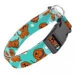 Vizsla, kék - Kutya Nyakörv - april & june