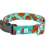 Vizsla, kék - Kutya Nyakörv - april & june